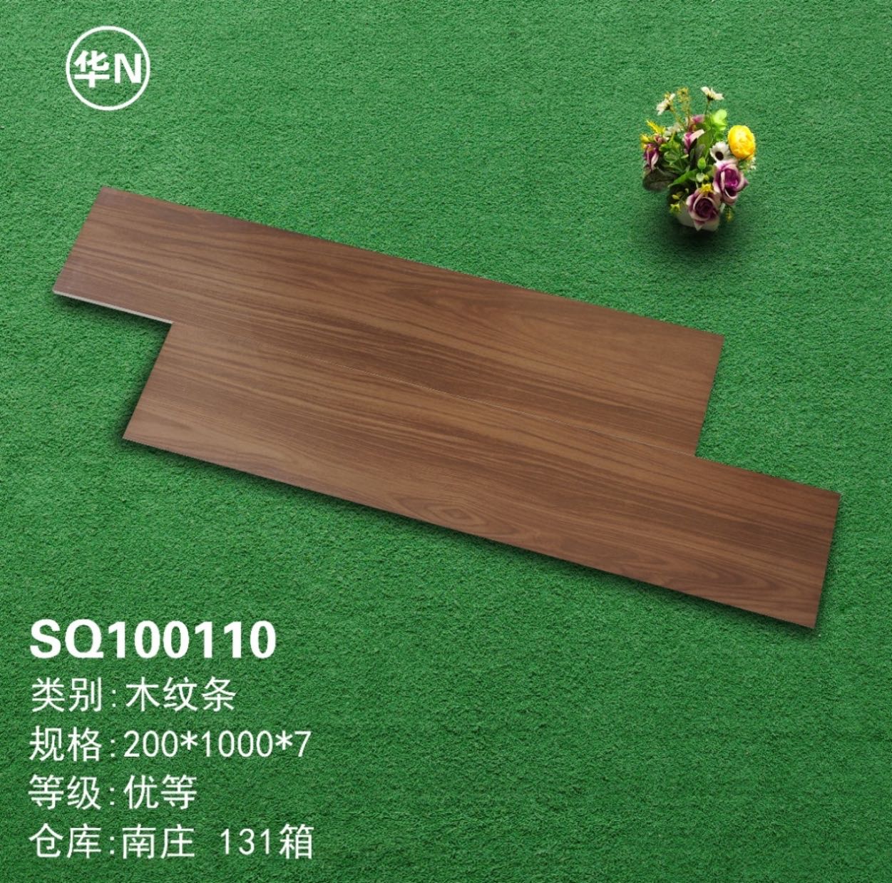 SQ100110